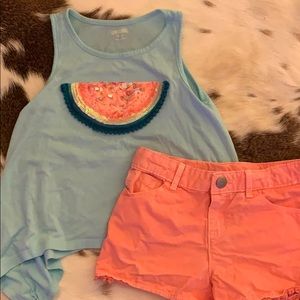 Girls Gymboree matching outfit
